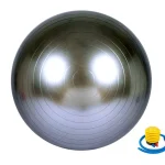 М'яч для фітнесу Newt HMS 85 см сірий 487-626-3-G