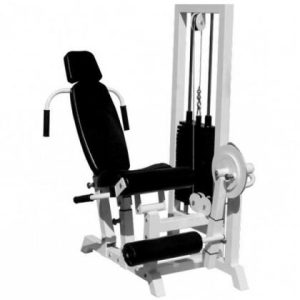 a46t6j6m5gw64t3__rrirerrsrurs-srrrirerrsrurs_rrurgsr