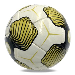 ne-f-s7-1