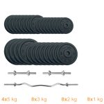 Набір штанга + гантелі металеві Newt Gym Set-W Home 77 кг