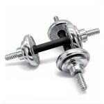 Гантели наборные металлические хромированные Newt Home Chrom 2 шт по 5 кг NE-GT-S5